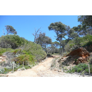 Picture France Porquerolles Island Courtade beach 2008-05 74 - Store Courtade beach