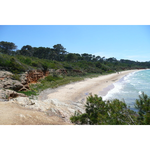 Picture France Porquerolles Island Courtade beach 2008-05 7 - Flight Courtade beach