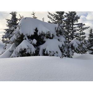 Picture France Praz sur Arly 2019-12 174 - Car Praz sur Arly