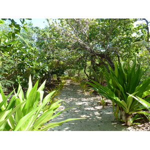 Picture Fiji Captain Cook Cruises 2010-05 78 - Photos Captain Cook Cruises