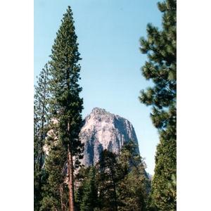 Picture United States Yosemite National Park 1992-08 2 - Pictures Yosemite National Park