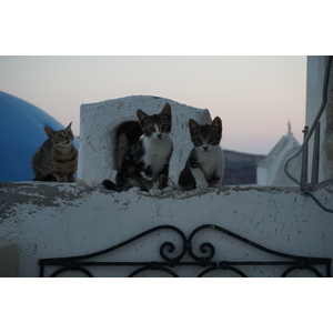 Picture Greece Santorini Oia cave house 2016-07 12 - Sight Oia cave house