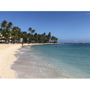 Picture Guadeloupe La Caravelle Beach 2021-02 132 - Travels La Caravelle Beach