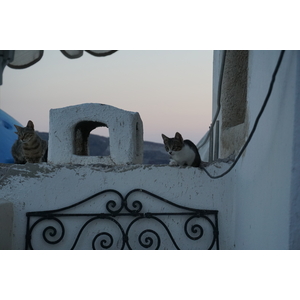 Picture Greece Santorini Oia cave house 2016-07 18 - Trail Oia cave house