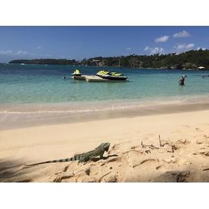 Picture Guadeloupe La Caravelle Beach 2021-02 75 - Views La Caravelle Beach