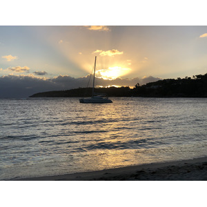 Picture Guadeloupe La Caravelle Beach 2021-02 126 - Visit La Caravelle Beach