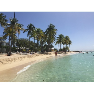 Picture Guadeloupe La Caravelle Beach 2021-02 86 - Road La Caravelle Beach