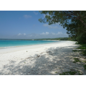 Picture New Caledonia Lifou Chateaubriant bay 2010-05 88 - Flight Chateaubriant bay