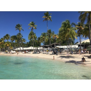 Picture Guadeloupe La Caravelle Beach 2021-02 40 - Visit La Caravelle Beach