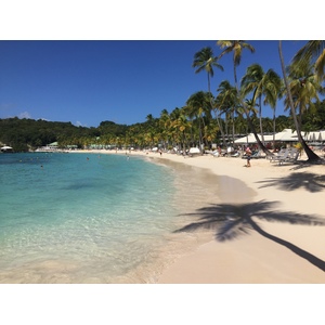 Picture Guadeloupe La Caravelle Beach 2021-02 38 - Sight La Caravelle Beach