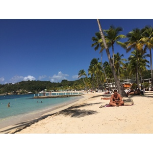 Picture Guadeloupe La Caravelle Beach 2021-02 31 - Trips La Caravelle Beach