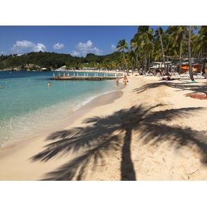 Picture Guadeloupe La Caravelle Beach 2021-02 77 - Sightseeing La Caravelle Beach