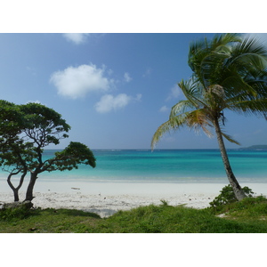 Picture New Caledonia Lifou Chateaubriant bay 2010-05 89 - Flight Chateaubriant bay