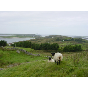 Picture Ireland Connemara 2003-09 36 - Picture Connemara