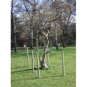 Picture France Paris 8th Arrondissement Monceau Garden 2006-03 57 - Pictures Monceau Garden