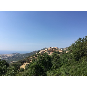 Picture France Corsica Aregno 2015-05 8 - Photos Aregno