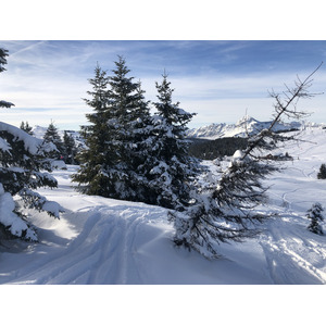 Picture France Praz sur Arly 2019-12 313 - Sightseeing Praz sur Arly