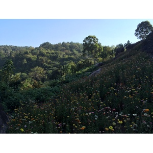 Picture Thailand Phu Hin Rong Kla National Park 2014-12 339 - Sight Phu Hin Rong Kla National Park