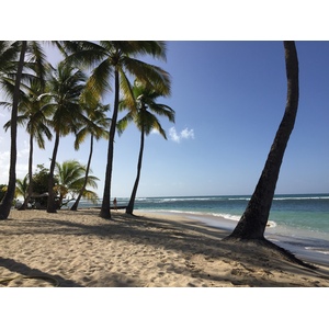 Picture Guadeloupe La Caravelle Beach 2021-02 89 - Visit La Caravelle Beach