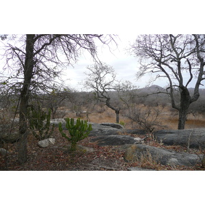 Picture South Africa Kruger National Park 2008-09 182 - Discover Kruger National Park