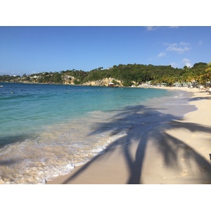 Picture Guadeloupe La Caravelle Beach 2021-02 83 - Journey La Caravelle Beach