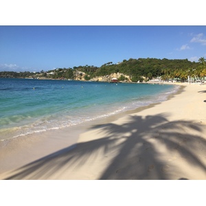 Picture Guadeloupe La Caravelle Beach 2021-02 78 - Views La Caravelle Beach