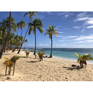 Picture Guadeloupe La Caravelle Beach 2021-02 16 - Photos La Caravelle Beach