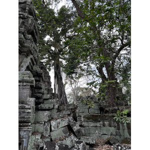 Picture Cambodia Siem Reap Ta Prohm 2023-01 6 - Tourist Ta Prohm