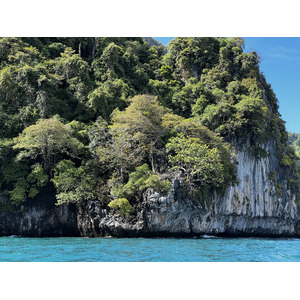 Picture Thailand Ko Phi Phi Ley 2021-12 124 - Discover Ko Phi Phi Ley