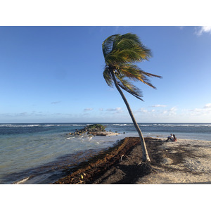 Picture Guadeloupe La Caravelle Beach 2021-02 11 - Sight La Caravelle Beach