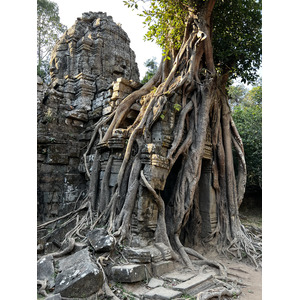 Picture Cambodia Siem Reap Ta Som 2023-01 1 - Visit Ta Som