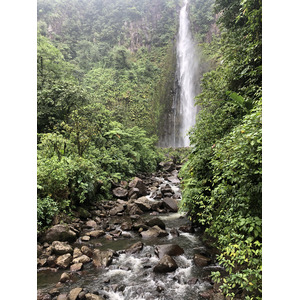 Picture Guadeloupe Carbet Falls 2021-02 39 - Photographer Carbet Falls