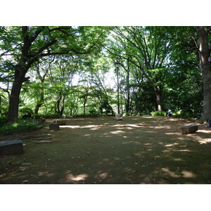 Picture Japan Tokyo Ueno 2010-06 27 - Perspective Ueno