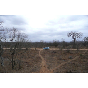 Picture South Africa Kruger National Park 2008-09 92 - Car Rental Kruger National Park