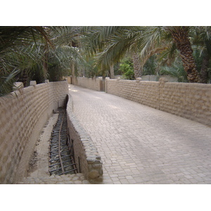 Picture United Arab Emirates Al Ain Al Ain Oasis 2005-03 38 - Store Al Ain Oasis