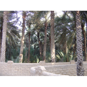 Picture United Arab Emirates Al Ain Al Ain Oasis 2005-03 31 - Map Al Ain Oasis