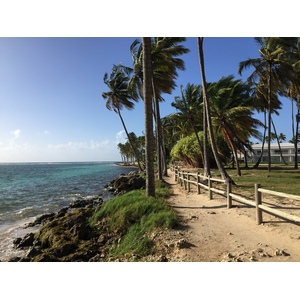 Picture Guadeloupe La Caravelle Beach 2021-02 19 - Visit La Caravelle Beach