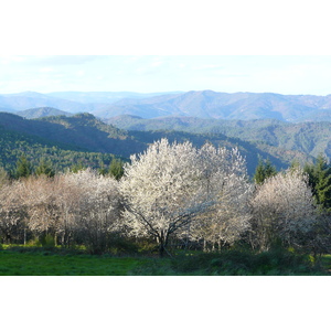 Picture France Cevennes Mountains 2008-04 31 - Sightseeing Cevennes Mountains