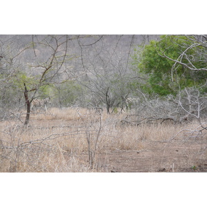 Picture South Africa Kruger National Park Mpondo 2008-09 17 - View Mpondo