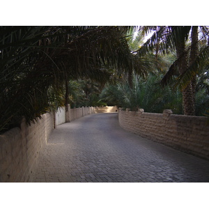 Picture United Arab Emirates Al Ain Al Ain Oasis 2005-03 9 - Sight Al Ain Oasis