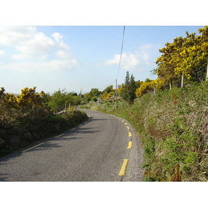 Picture Ireland Kerry Caragh Lake 2004-05 11 - Car Caragh Lake