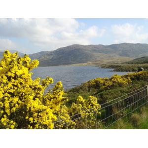 Picture Ireland Kerry Caragh Lake 2004-05 37 - Road Caragh Lake