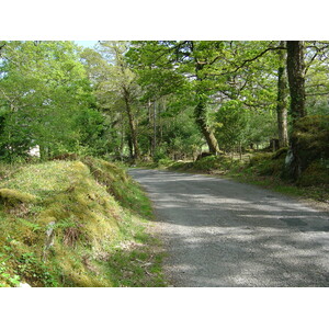 Picture Ireland Kerry Caragh Lake 2004-05 32 - Trips Caragh Lake