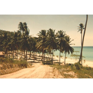 Picture Thailand Phuket 1989-04 1 - Tourist Attraction Phuket