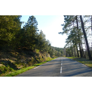 Picture France Cevennes Mountains 2008-04 83 - Travel Cevennes Mountains