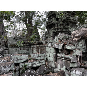 Picture Cambodia Siem Reap Ta Prohm 2023-01 150 - Sight Ta Prohm