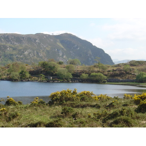 Picture Ireland Kerry Caragh Lake 2004-05 17 - Travels Caragh Lake