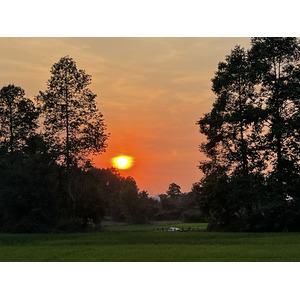 Picture Cambodia Siem Reap 2023-01 80 - Trip Siem Reap