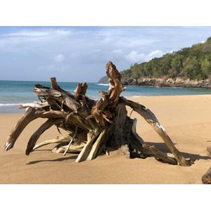 Picture Guadeloupe La Perle Beach 2021-02 109 - Store La Perle Beach