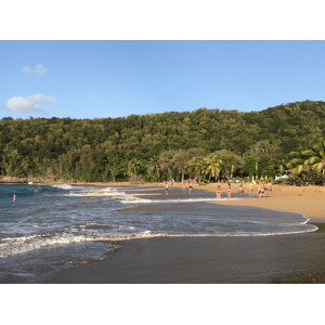 Picture Guadeloupe La Perle Beach 2021-02 11 - Travels La Perle Beach